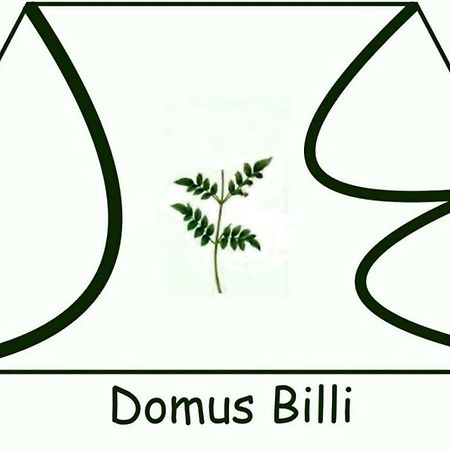 巴勒莫Domus Billi别墅 外观 照片